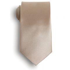 Solid Color Polyester Tie - Champagne Beige